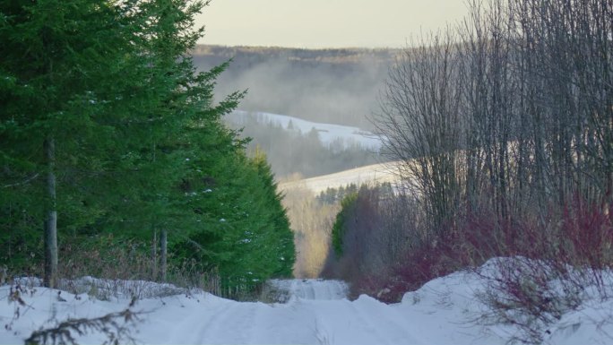 雪地摩托在烟雾缭绕的冬季森林中行驶