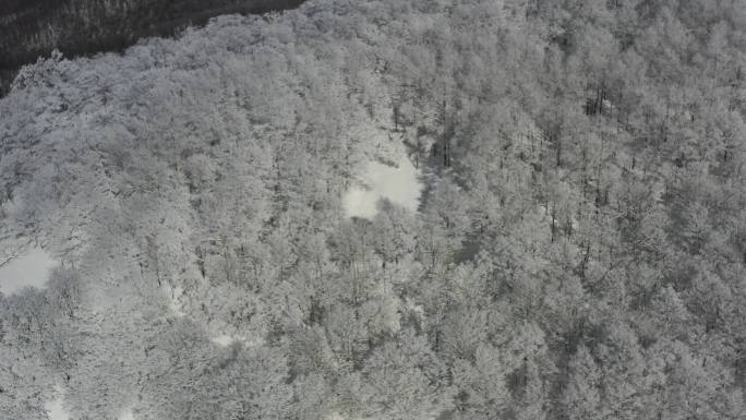 ⚝4K航拍⚝东北雪景雾凇雪挂山顶俯拍雪景