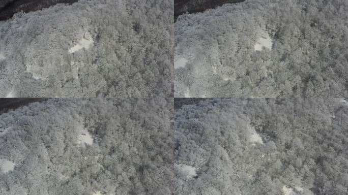 ⚝4K航拍⚝东北雪景雾凇雪挂山顶俯拍雪景