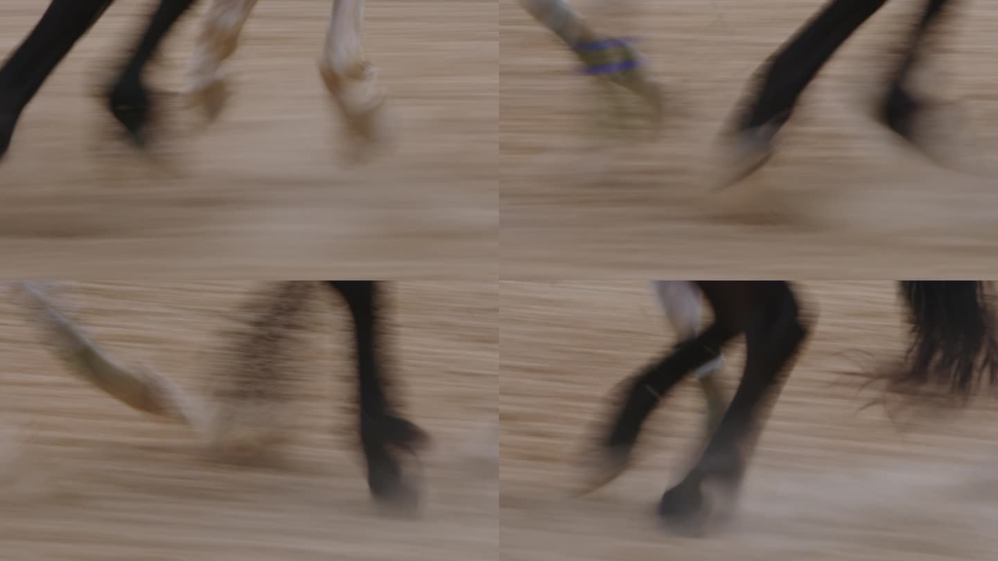 马蹄在沙质跑道上疾驰。慢镜头，慢快门速度。