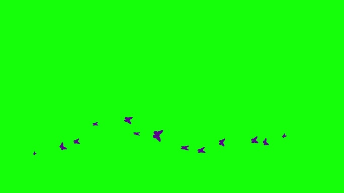 动画紫色蝴蝶从左到右飞。一波蝴蝶。夏天的概念。矢量插图隔离在绿色背景上。