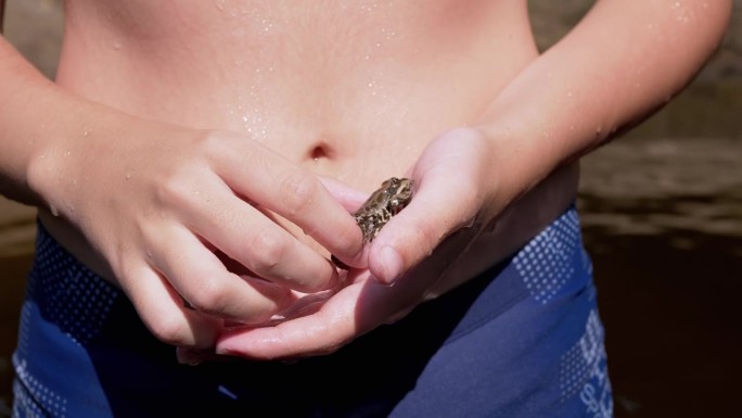 在河里洗澡的孩子手里拿着一只小绿斑蛙