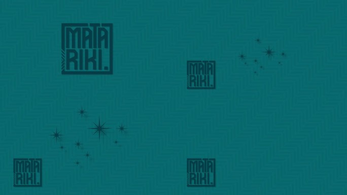 毛利人新年动画标题和明星