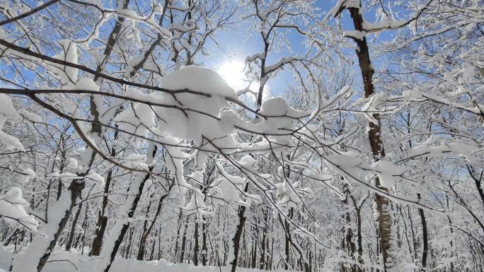 ⚝4K横屏⚝雪景雾凇蓝天白雪东北树挂