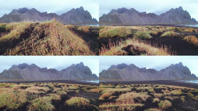 航拍:黑沙滩、tussocks和Vestrahorn的仰角图，其标志性的锯齿状山峰和高耸的扶壁，从这