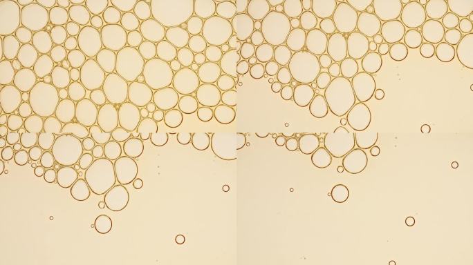 透明化妆品凝胶流体与分子气泡油分布。显微镜下的细胞泡簇。天然有机化妆品、药品微距拍摄。生产特写。缓慢