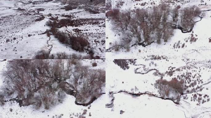 冬季河流小溪植被雪景航拍