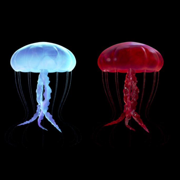 双色水母动画海洋素材带通道-LED