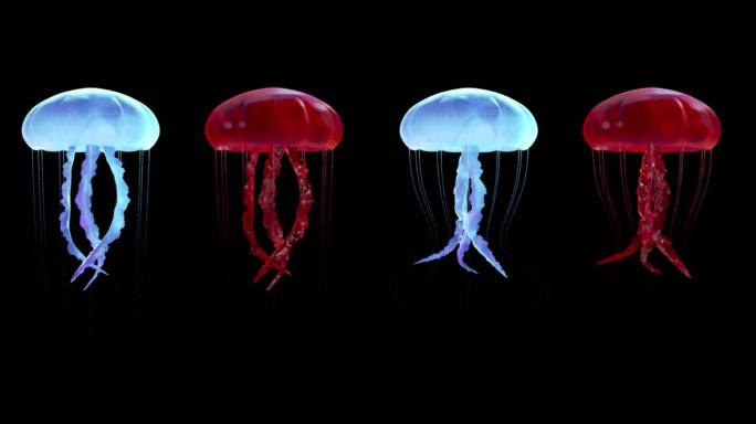 双色水母动画海洋素材带通道-LED