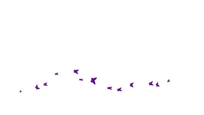 动画紫色蝴蝶从左到右飞。一波蝴蝶。夏天的概念。矢量插图隔离在白色背景上。