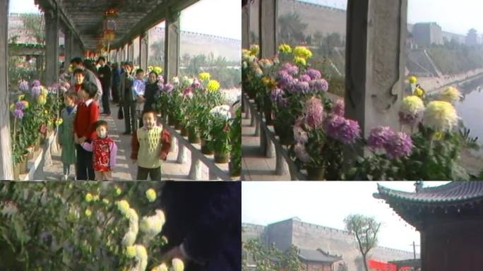 80年代1988年西安环城公园赏菊游园会