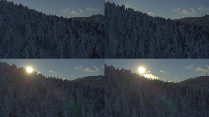 航拍-在白雪皑皑的森林后面展示太阳-用DJI Inspire 2 X7 RAW拍摄