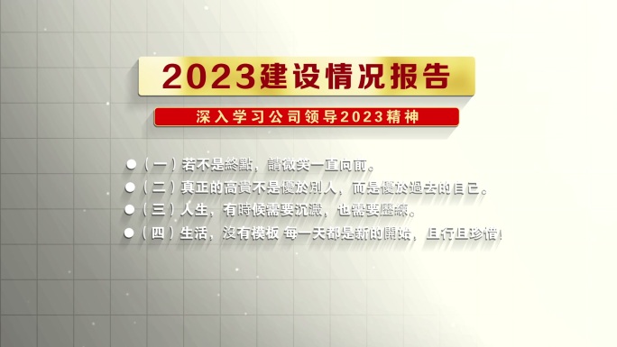 党政文字 党建文字 政府汇报 报告文字