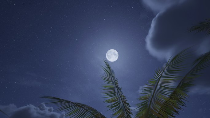 4k椰林月夜⑨
