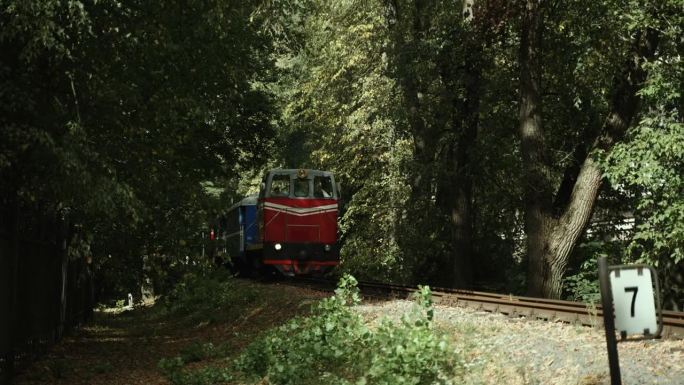 窄轨火车的火车头在绿树之间行驶。