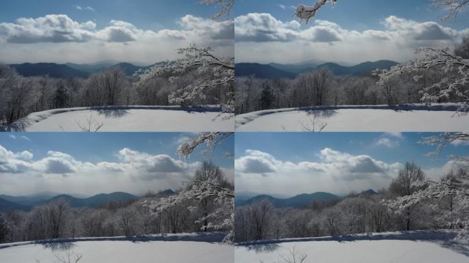 ⚝4K航拍⚝东北雪景蓝天白雪树挂雾凇视频