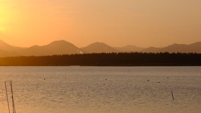 日落 光影 湖泊 湿地公园 波光粼粼