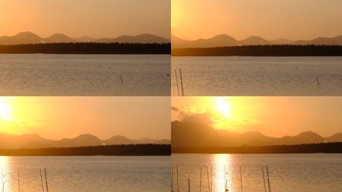 日落 光影 湖泊 湿地公园 波光粼粼