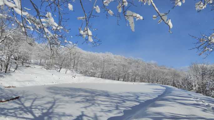 ⚝4K横屏⚝雪景雾凇蓝天白雪东北树挂