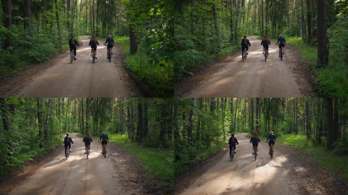 三个年轻的女孩朋友在夏天的森林里骑自行车，后景，积极的消遣