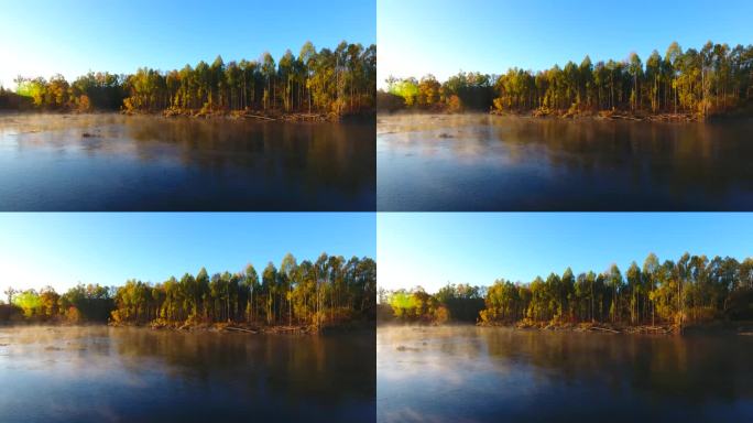 根河源国家湿地公园秋季河边五彩树木