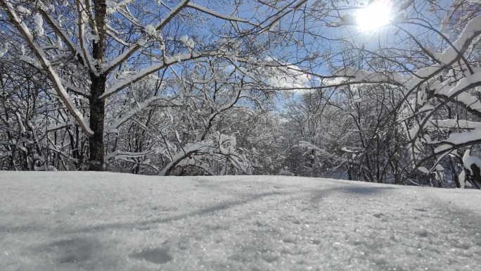 ⚝4K横屏⚝雪景雾凇蓝天白雪东北树挂