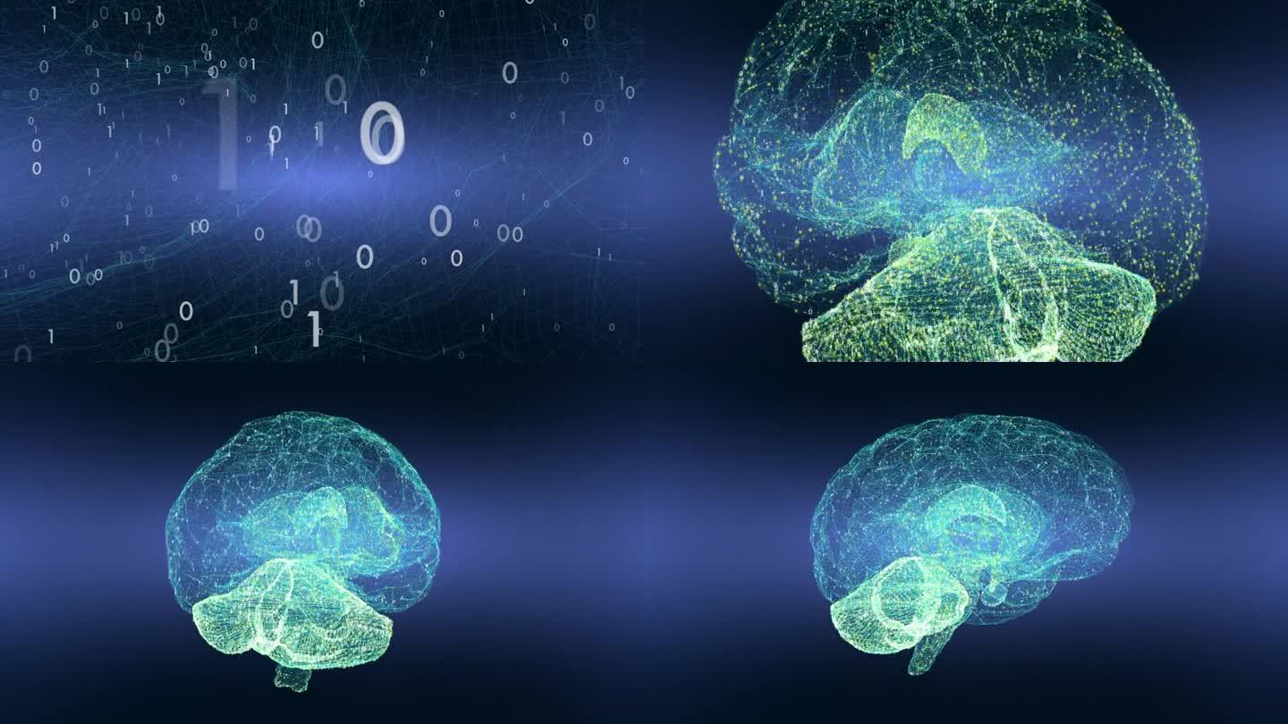 缩小人工智能大脑神经元处理中的二进制代码