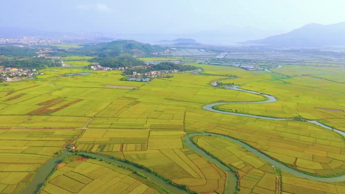 惠东捻山稻田航拍视频5-4K