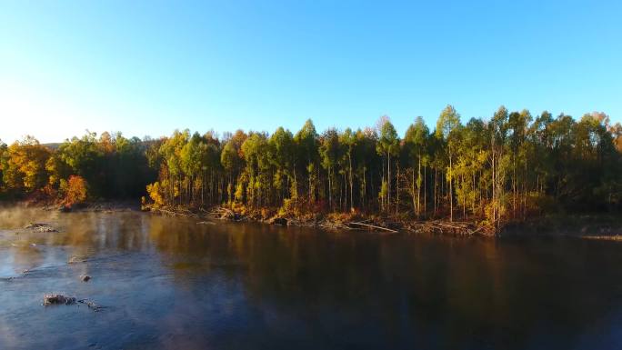 根河源国家湿地公园秋季河边五彩树木