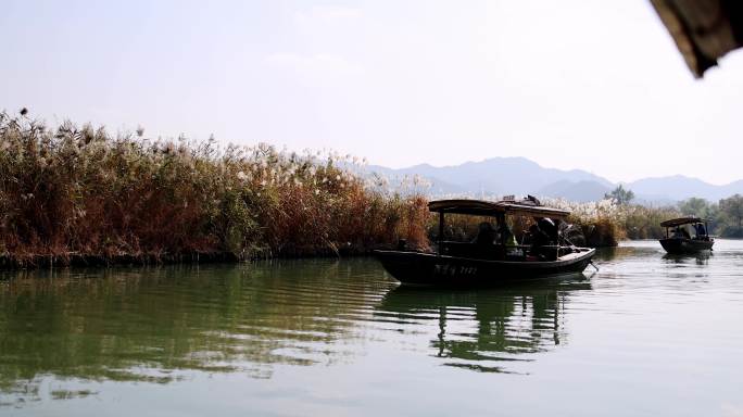 中国杭州西溪湿地摇橹船河中前行