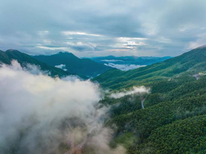 自然山川大山风景云海云雾森林