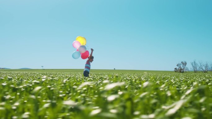 自由、活力和一个男孩带着气球在夏天的自然花丛中奔跑。孩子们，带着一个幼小的孩子在乡下冒险成长和发展