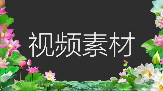 【原创】舞台投影森林风格大自然视频模板