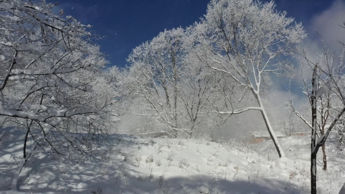 ⚝4K航拍⚝东北雪景雾凇雪凇森林白雪意境