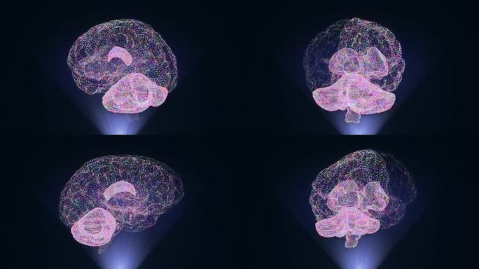 神经元和受体工作的脑全息图三维动画