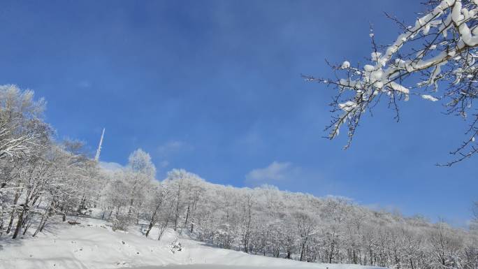 ⚝4K横屏⚝雪景雾凇蓝天白雪东北树挂