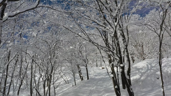 ⚝4K航拍⚝东北雪景雾凇雪凇森林白雪意境