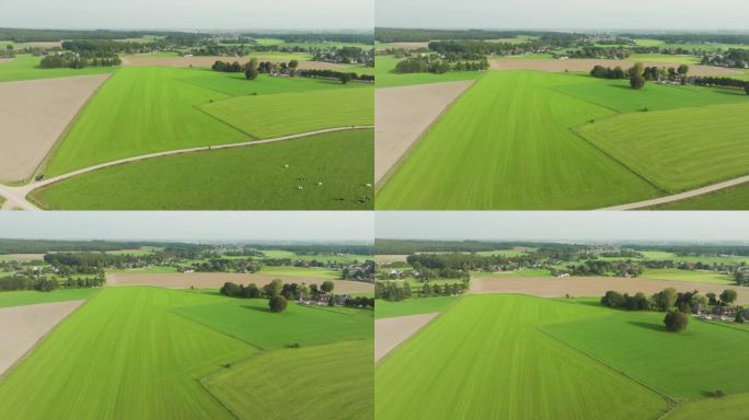 鸟瞰图的乡村与草地，斯托库姆，蒙特兰，荷兰。