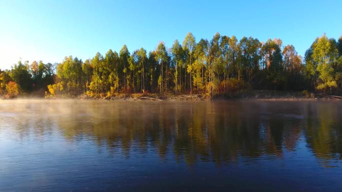 根河源国家湿地公园秋季河边五彩树木