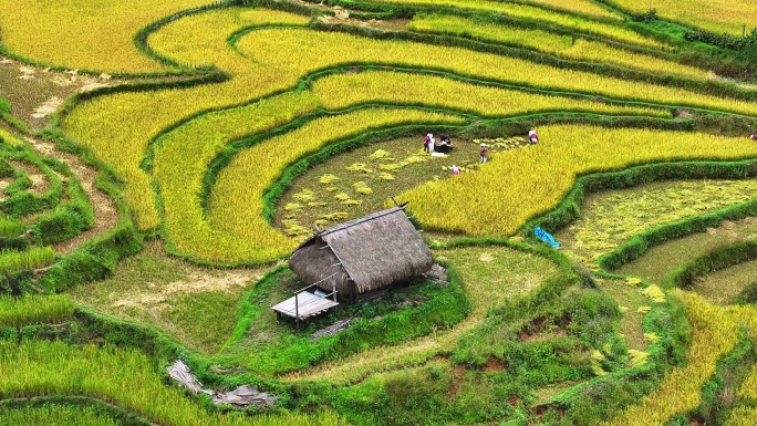 航拍云南翁丁原始部落