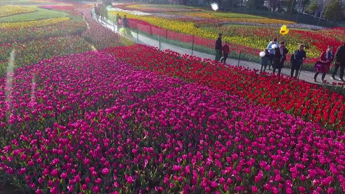 城市的花海游人如织，热闹非凡