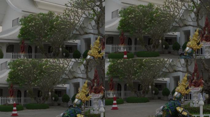 清莱白寺外的长椅上，一尊雕像放松地躺着，身后的树上开着朵朵白花。