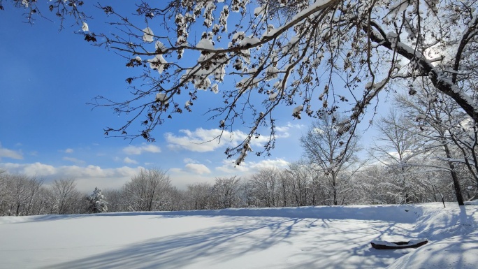 ⚝4K横屏⚝雪景雾凇蓝天白雪东北树挂