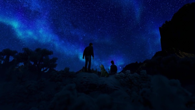 一对夫妇和狗欣赏星空下的北极光，广角镜头放大