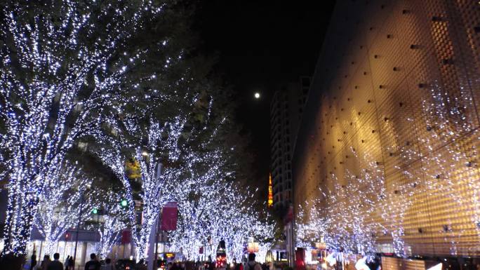 日本，东京:圣诞彩灯在市中心亮起。