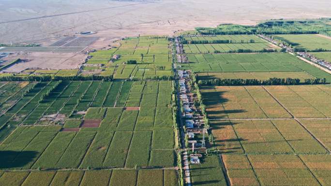 三北防护林 玉米制种基地 农田 村庄
