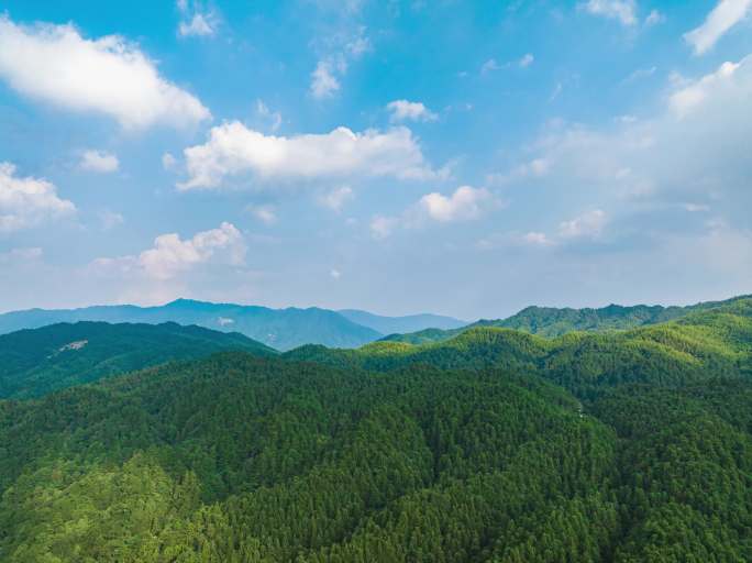 自然山川大山风景云海云雾森林