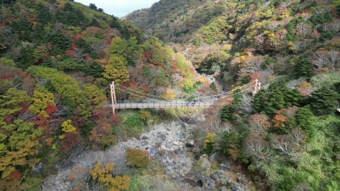 韩国汉拿山国家公园悬索桥的无人机画面