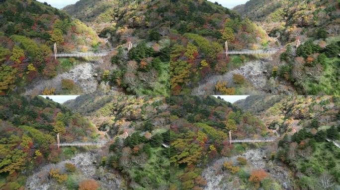 韩国汉拿山国家公园悬索桥的无人机画面