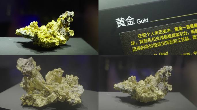 天然黄金展台